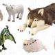 Up to 50% off Stuffed Animals Gold Box | Amazon